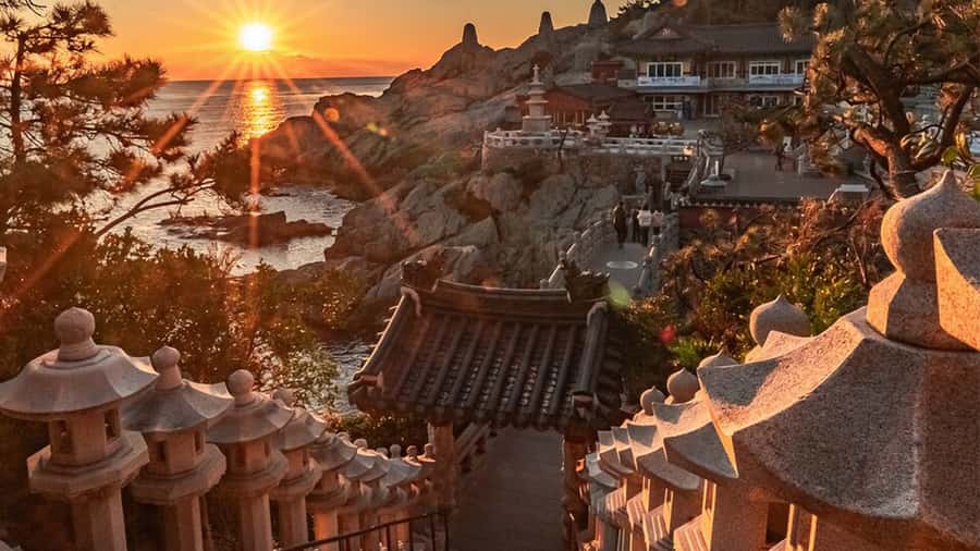 Busan: A Well-Rounded Small-Group Tour with Certified Guide - Why This Busan Day Tour Works for a One-Day Hit of Coastal Culture