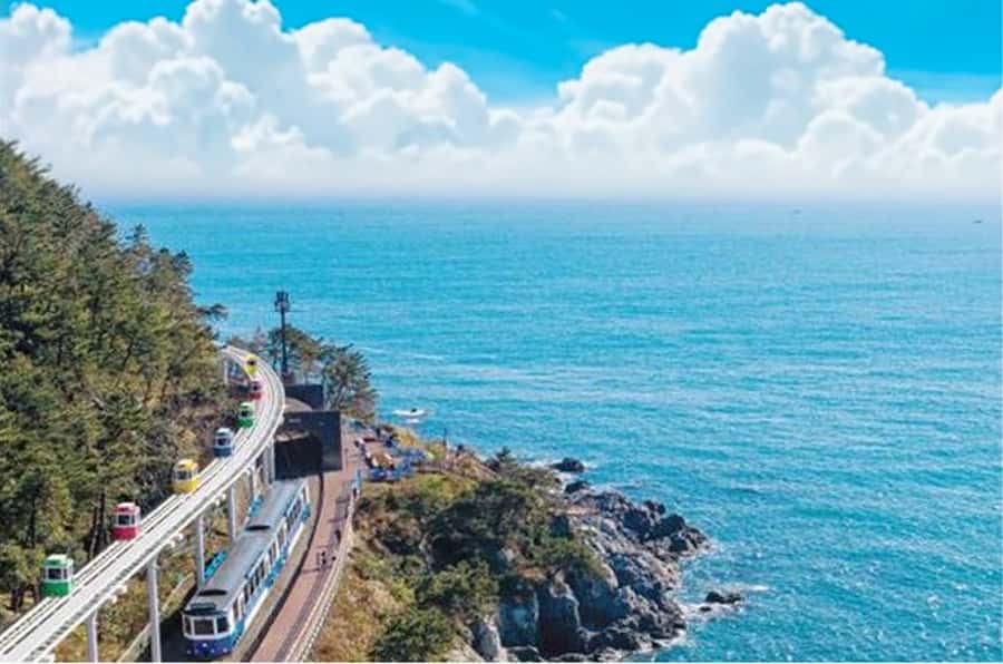 Busan: A Well-Rounded Small-Group Tour with Certified Guide - Ahopsan Forest: Bamboo, Conifers, and K-Drama Cred in One Hour