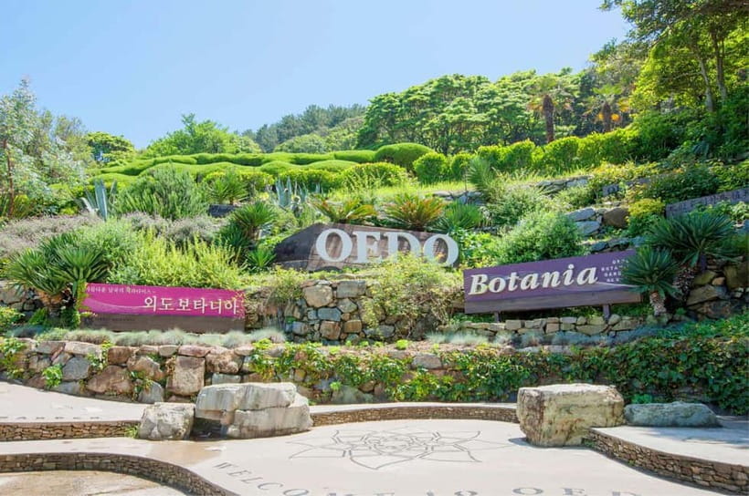Busan: A1.Hidden Gem Geoje & Oedo Botania Island& Cable car - A One-Day Route That Actually Makes Sense (Geoje, Oedo, Cable Car)