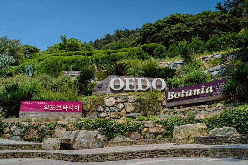 Busan:A2.Hidden Gem Geoje & Oedo Botania Island - Price and Value: Is $95 a fair deal for a full 10-hour day?