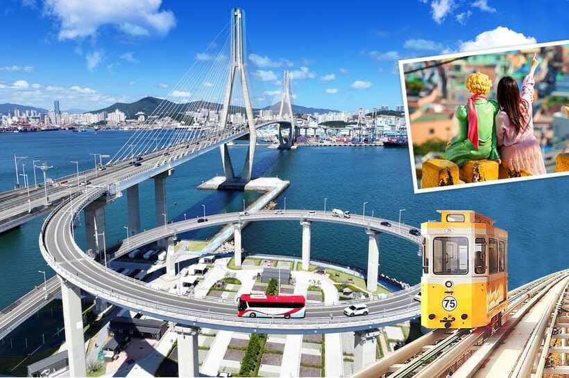 Busan: Busan 9 Highlights Tour - A 9-to-10 hour Busan sampler that makes first-timers feel smart
