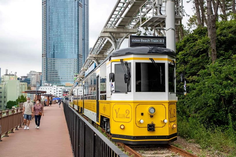 Busan: Busan 9 Highlights Tour - Songdo Beach, Skywalk, and the optional Cable Car moment