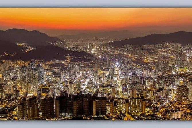 Busan by Night - Pickup, Coach Comfort, and the Small-Group Sweet Spot