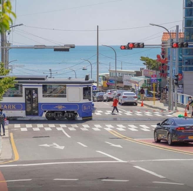 Busan City Private Chartered Car tour - How a 9-Hour Private Car Works in Real Life