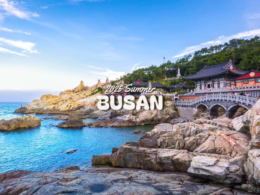 Busan City : Top Attractions One-Day Guided Tour - Haedong Yonggungsa Temple, Cheongsapo, and a Seaside Timeline