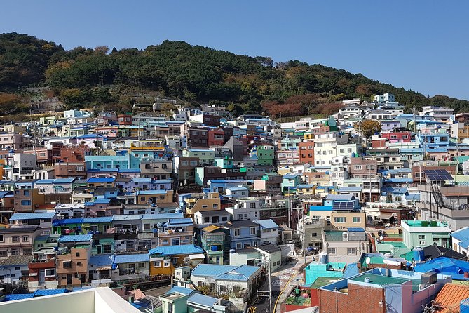 Busan city tour from Seoul by KTX bullet train - Stop 1: Jagalchi Fish Market, where Busan tastes like Busan
