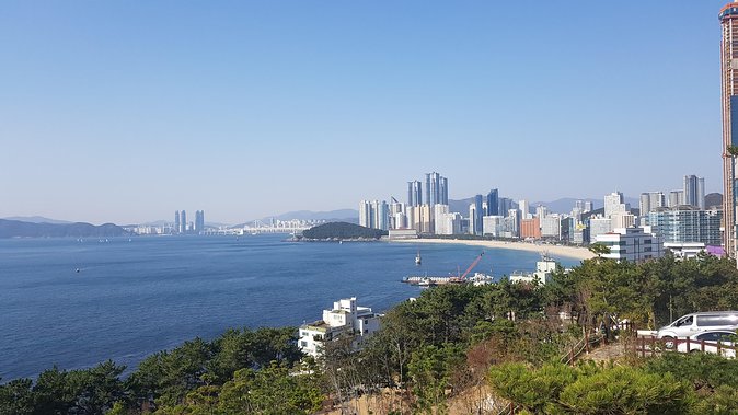 Busan city tour from Seoul by KTX bullet train - Stop 6: Choi Min-Shik Gallery, street-level photography about real people