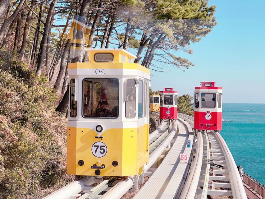 Busan: Coastal Wonders & Cultural Gems Tour opt. Sky Capsule - Getting around: coach time that keeps the day smooth