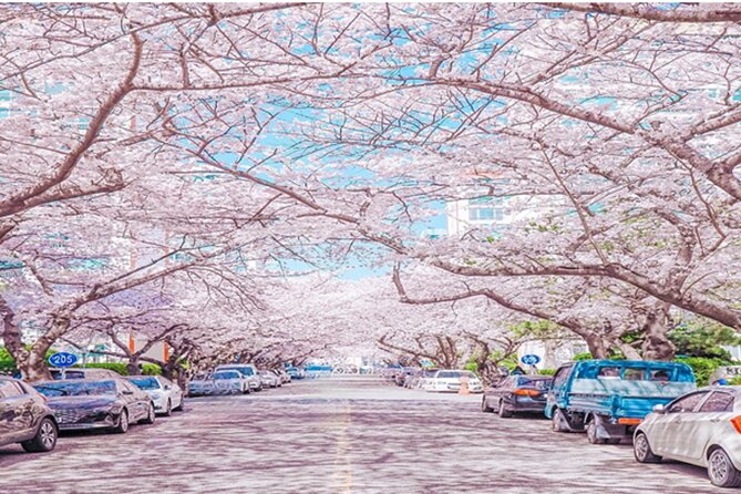 Busan Cruise Port - Premium Small Group Tour (Max 6 Guests) - BIFF Square: a short stop with a movie-street vibe