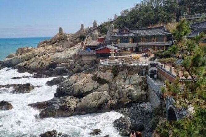 Busan CUSTOMIZED Tour for PRIVATE GROUP CRUISE PASSENGERS - Dongbaekseom Island and Gwangandaegyo: walking paths plus a bridge designed for photos