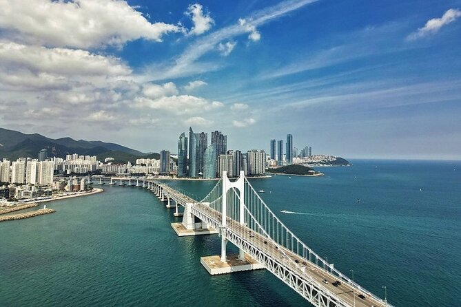 Busan Day Trip from Seoul by KTX - Private Tour with Local Guide - Gwangan Bridge: a quick hit of Busan’s most famous structure