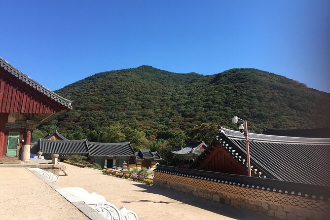 Busan day trip including Gamcheon culture village from Seoul by KTX train - Jagalchi Market and Gukje Market: Seafood Energy and Market Shopping