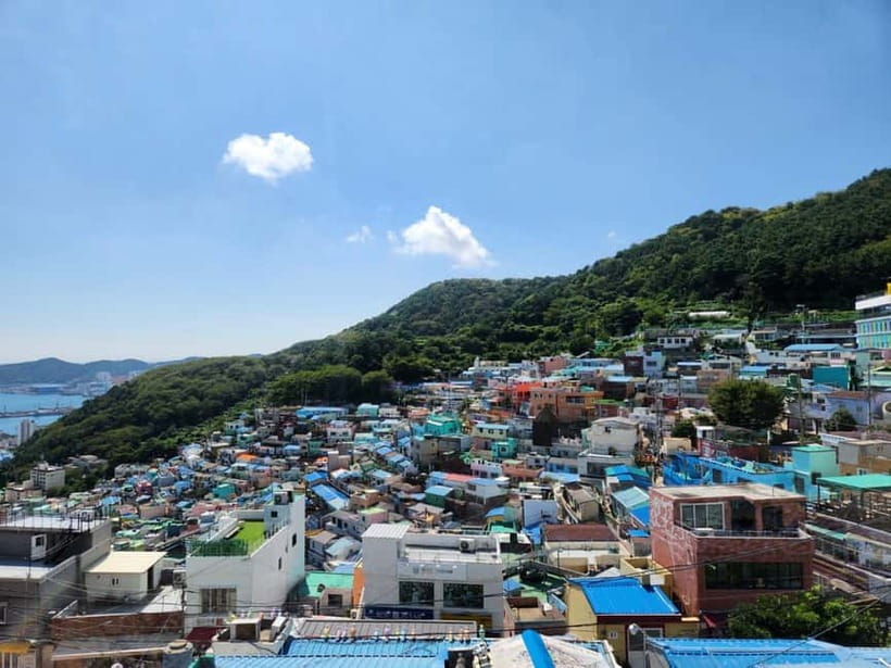 Busan: Day Trip with Gamcheon Culture Village and Sky Walk - A smart, high-value way to see Busan in one day