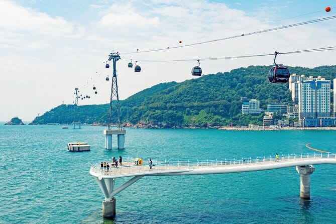 Busan Full-Day City Tour with Gamcheon Village, Sea Temple & more - The real value: a lot of Busan in one day