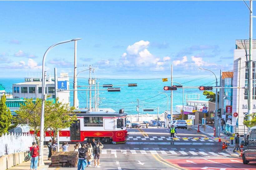 Busan: Full-Day City Tour with Taejongdae, Gamcheon & More - Key Highlights That Matter on the Ground