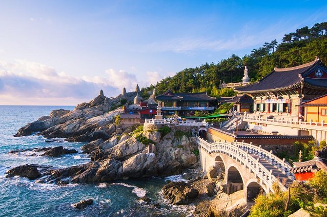 Busan: Fully Customizable Private Tour - Key highlights you will actually feel on the day