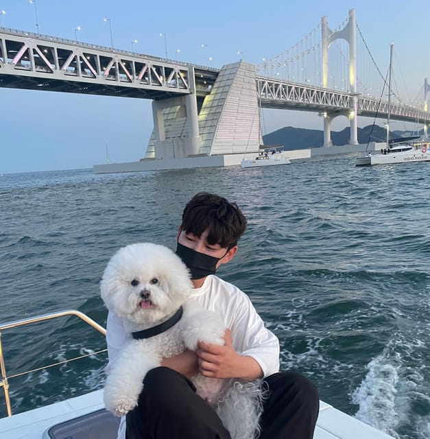 Busan: Group Sightseeing Yacht Cruise with Snacks and Drinks - The cruise schedule, and why sunset to night is the sweet spot