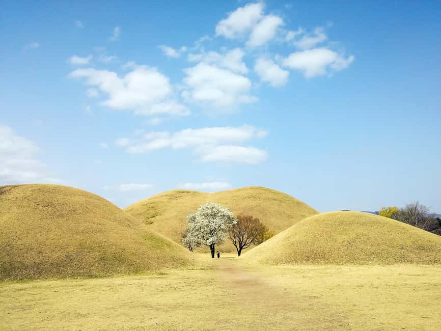Busan + Gyeongju One Day Tour from Busan - The Van Ride That Saves You From Doing Math