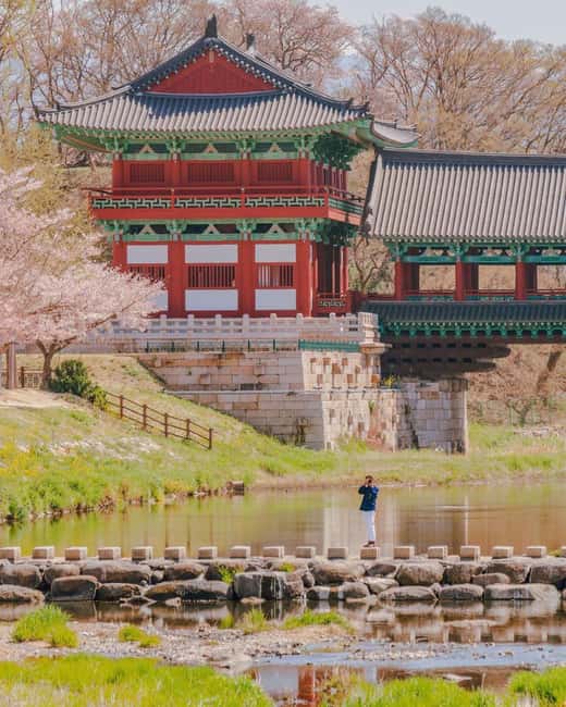 Busan + Gyeongju One Day Tour from Busan - Daereungwon Tomb Complex and the Big Meaning Behind the Stones