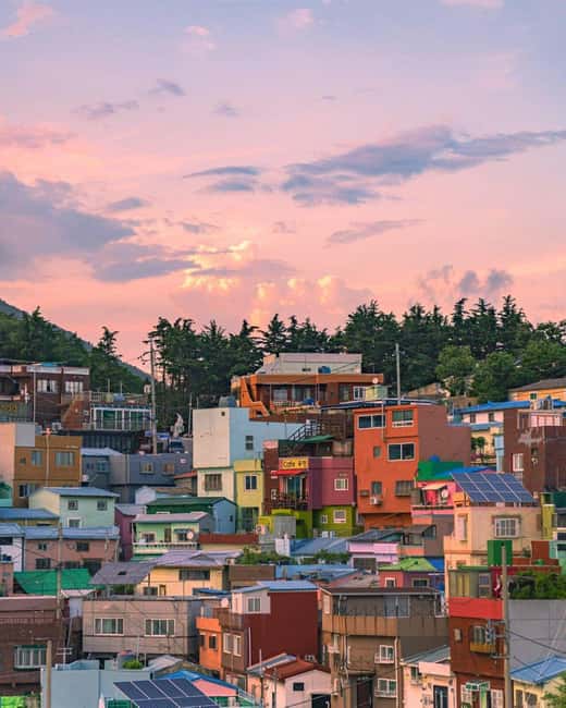 Busan + Gyeongju One Day Tour from Busan - Hwangnidan-gil: Where Gyeongju Lets You Walk and Snack (If You Want)