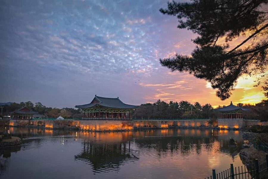 Busan: Gyeongju UNESCO Legacy Tour with National Museum - Ahopsan Bamboo Forest: optional walk, strong payoff