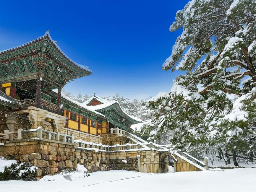 Busan: Gyeongju UNESCO Legacy Tour with National Museum - Meet-up times in Busan, and why the ride matters