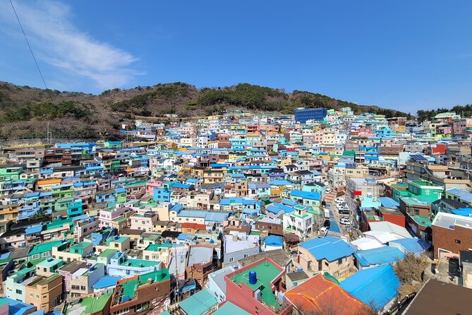 Busan Half-Day Customizable Private Tour in English - Key highlights you’ll care about