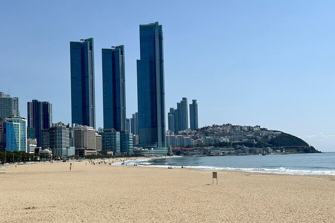 Busan Half-Day Customizable Private Tour in English - Private Busan in a Half-Day, With a Local Guide Who Actually Knows It
