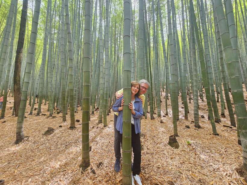 Busan: Hidden Gems Private Tour with a Certified Guide - Key highlights you will actually feel
