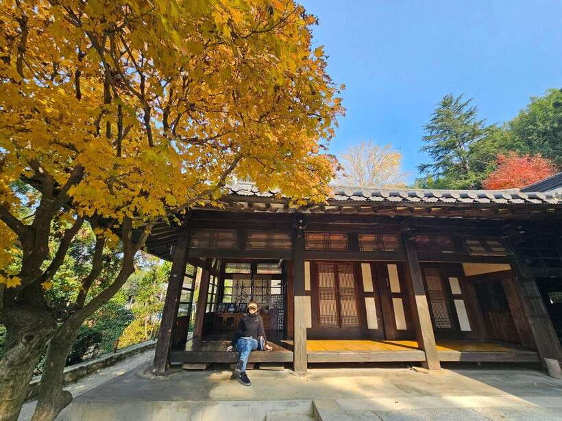 Busan: Hidden Gems Private Tour with a Certified Guide - Price and logistics, what you get for $359 up to 7 people