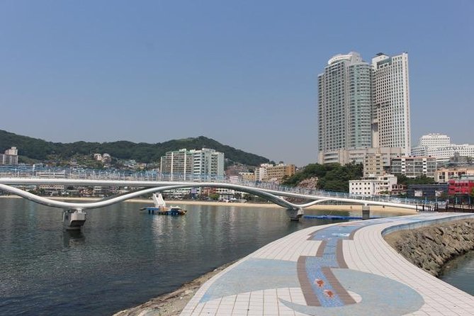 Busan Highlights Shore Tour - Cruise Return Assured - Cruise-first logistics, from 9:00 am pickup to a safer return