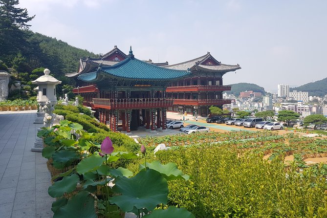 Busan Highlights Shore Tour - Cruise Return Assured - Samgwangsa Temple, lantern festival energy and a calmer kind of stop