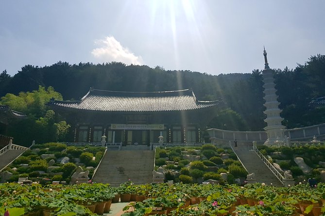 Busan Highlights Shore Tour - Cruise Return Assured - The included Korean lunch, where timing beats hunting for food