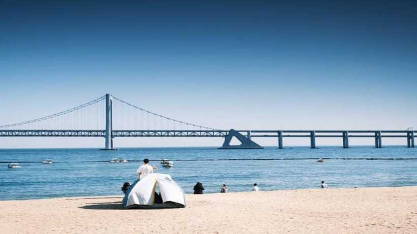 Busan: Jagalchi Market & Gamcheon village Walking Tour - What I’d pack and plan for this 4-hour walking loop