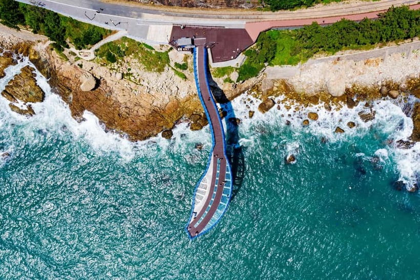 Busan: Max Out City Highlights Full-Day Tour - Sky Capsule above the coast, for when you want height without hiking