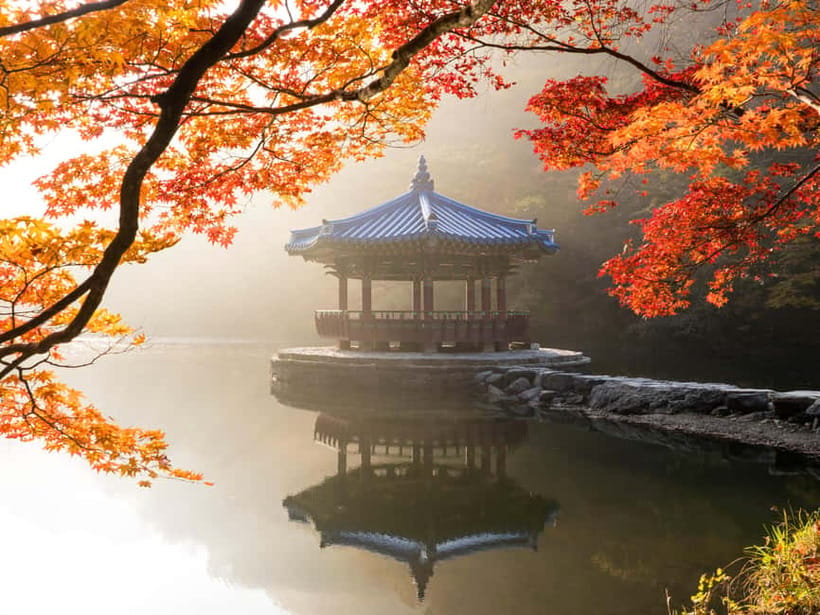Busan: Naejangsan National Park Autumn Foliage One Day Tour - Autumn Colors at Naejangsan, The Practical Reason This Tour Works