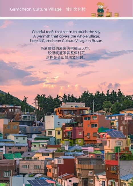 Busan Night Tour & Optional Snapshots - Key things to know before you go