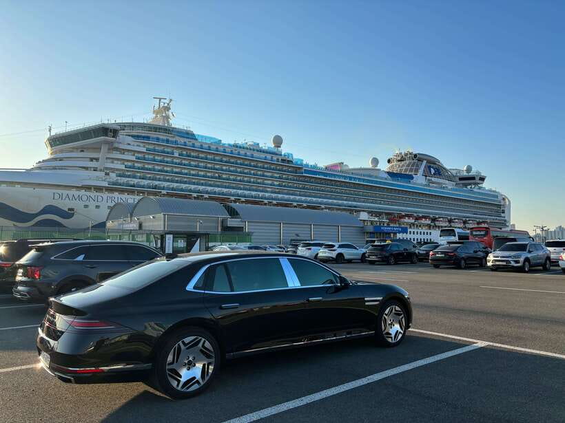 Busan: Private Car Charter Customized City Tour - Door-to-door pickup: the part that saves your vacation