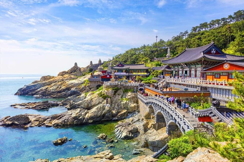 Busan: Private Chartered Car Tour - Booking fit: group size, pickup zones, and luggage counting