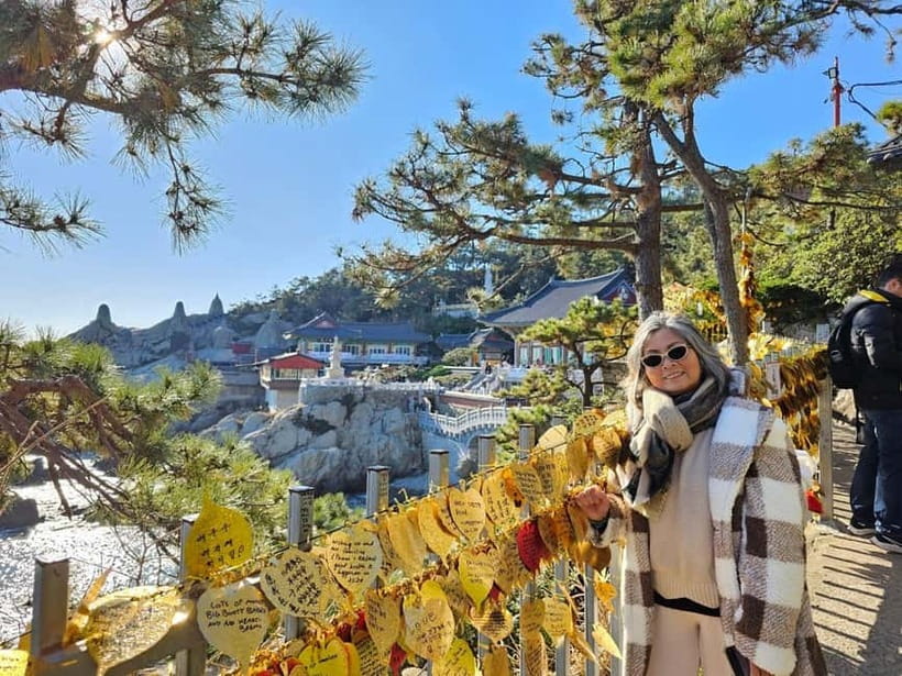 Busan: Private Customized Tour with Licensed Guide & Vehicle - BIFF Square film festival street energy and quick local snacks