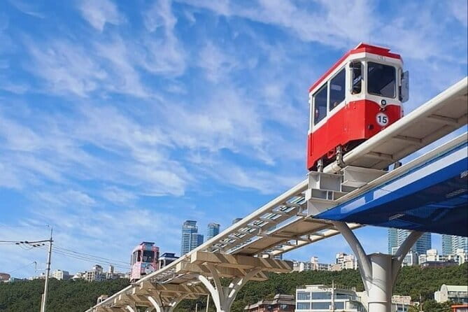Busan Private Guide Tour : Enjoy customized tour only for you! - Choosing from beaches, viewpoints, and city icons