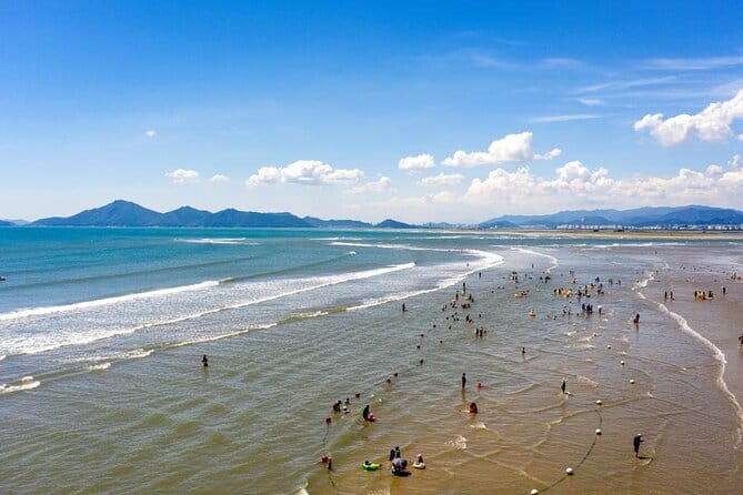 Busan Private Guide Tour : Enjoy customized tour only for you! - Transportation comfort, timing, and getting the most from 1-hour stops
