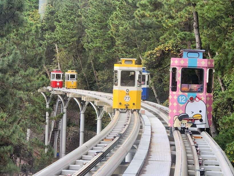 Busan private tour - Key things to know before you go