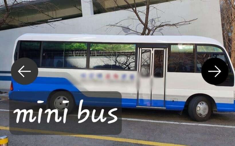 Busan private tour - Wheelchair access: what to confirm before you trust the word wheelchair