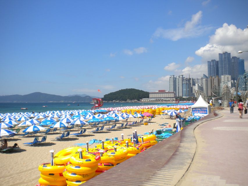 Busan Private Tour with a Local - How the customized walking plan actually feels