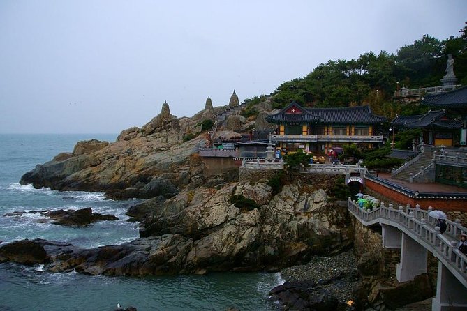 Busan Private Walking Tour with a Local - Why Starting at Jagalchi Market Is Such a Smart Move