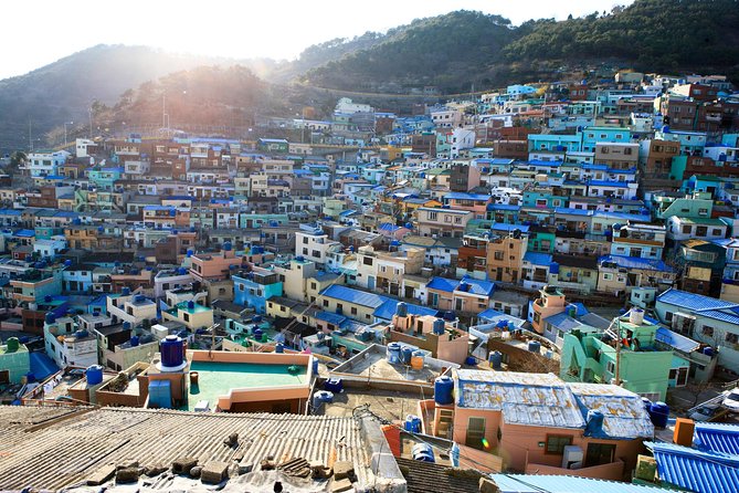 Busan's Cultural Wonders with Beach Train & Gamcheon Village etc - Why this Busan day tour feels easy, from start to finish