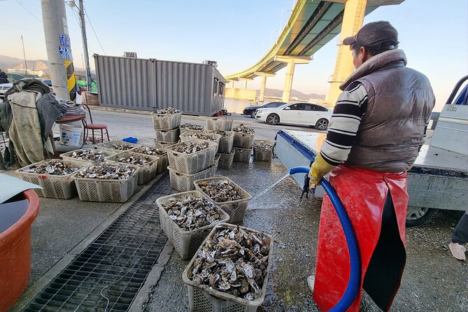 Busan Seafood Tour : Oyster village Tour with Oyster cuisines - Getting to the Oyster Village: Hadan Station Timing That Actually Works