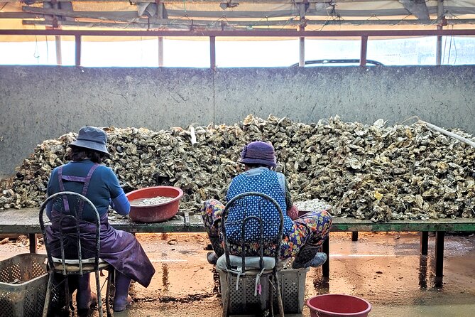 Busan Seafood Tour : Oyster village Tour with Oyster cuisines - Lunch at an Oyster-Themed Restaurant: What You’ll Eat and Why It Feels Special