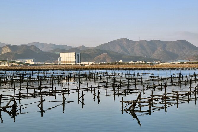 Busan Seafood Tour : Oyster village Tour with Oyster cuisines - Group Size and Guide Style: The Comfort Factor
